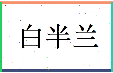 白半兰相关图片
