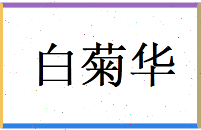 白菊华相关图片