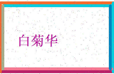 白菊华相关图片