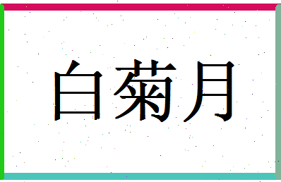 白菊月相关图片