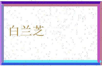 白兰芝相关图片