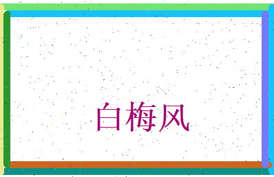 白梅风相关图片