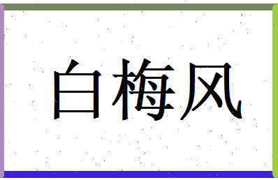 白梅风相关图片