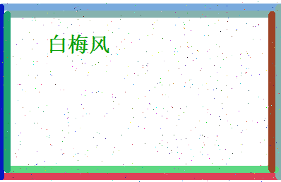 白梅风相关图片