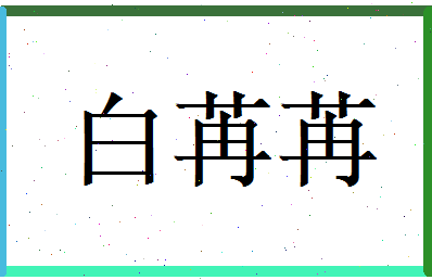 白苒苒相关图片