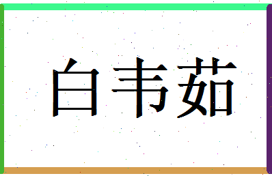 白韦茹相关图片