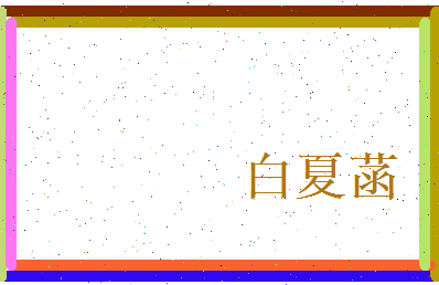 白夏菡相关图片
