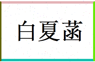 白夏菡相关图片