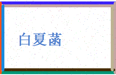 白夏菡相关图片