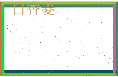 白香菱相关图片