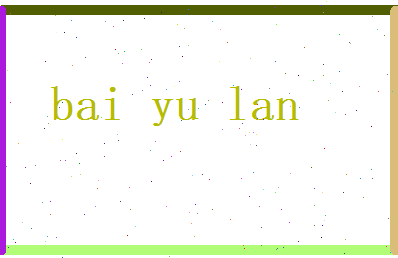 白玉兰相关图片