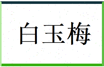 白玉梅相关图片