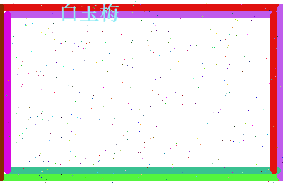 白玉梅相关图片