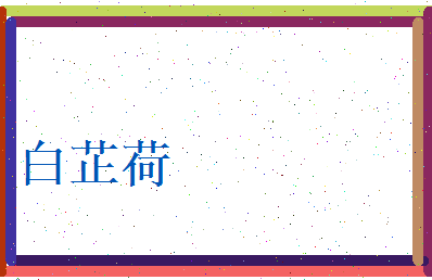 白芷荷相关图片