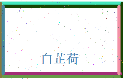 白芷荷相关图片