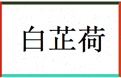 白芷荷相关图片
