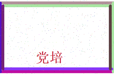 党培相关图片