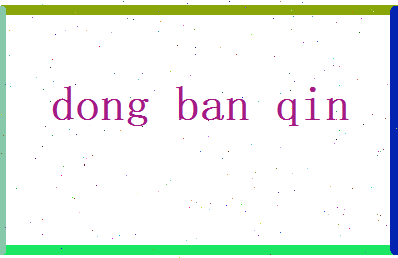 董半芹相关图片
