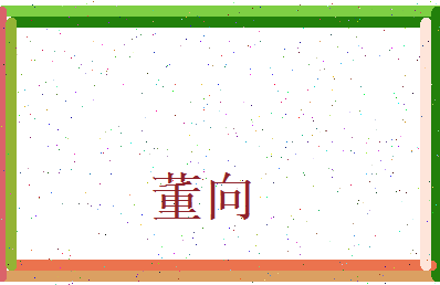 董向相关图片