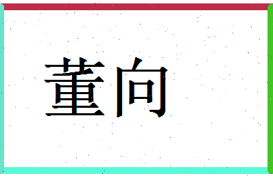 董向相关图片