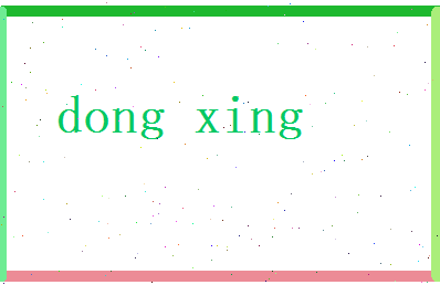 董星相关图片