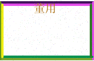 董用相关图片