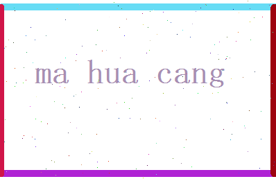 马华藏相关图片